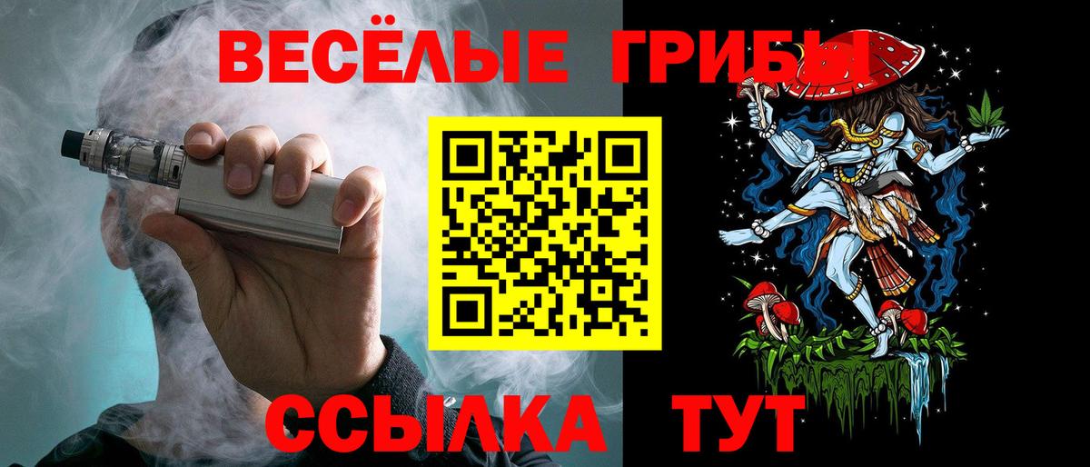Галлюциногенные грибы прущие грибы  наркотики  Галлюциногенные грибы прущие грибы  Нововоронеж  Вход с VPN 